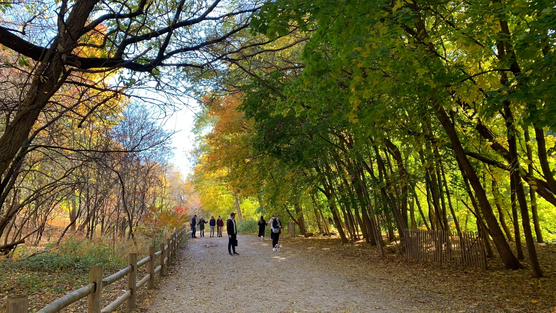Good Friday Nature and Neighbourhood Walk! (Dinner Party with Live Band After)