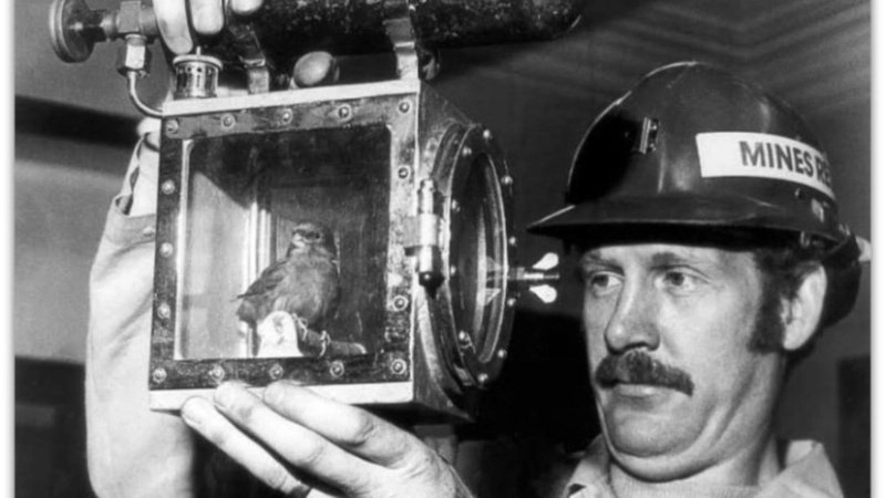 Café Approfondissement Communication NonViolente - Azaé