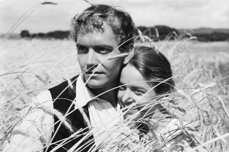 Romeo and Juliet in the Country