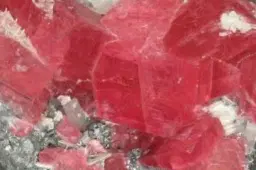 The Permanent Exhibition of The Muzeum Geologiczne