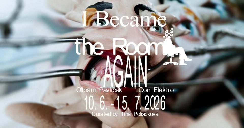 Olbram Pavlíček & Don Elektro: I Became the Room Again