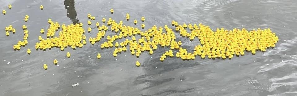 Annual Charity Duck Race plus stalls