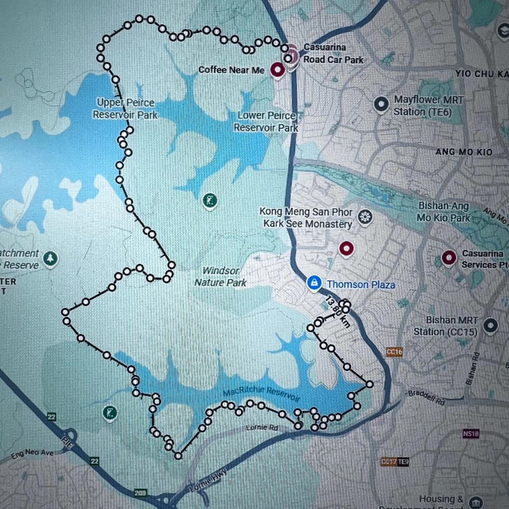 14km MacRitchie Hike