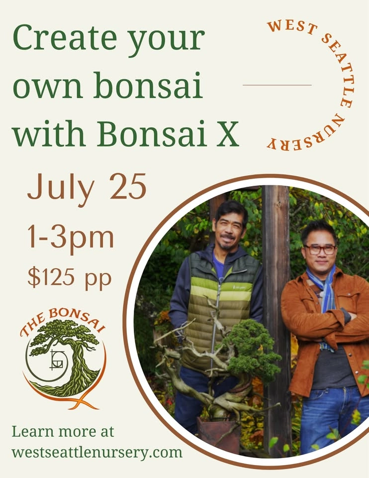 Create your own bonsai with Bonsai X
