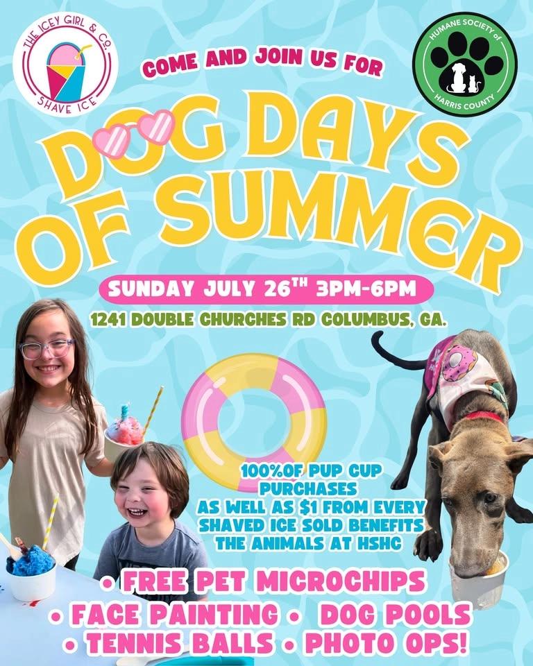 Dog Days Of Summer
