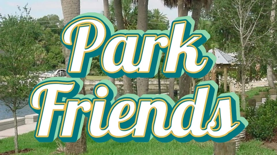 Park Friends Games in the Park