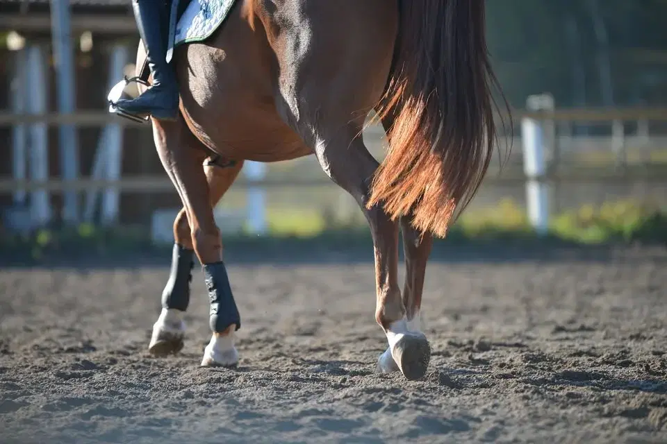 SFRK Enstjärnig Hopptävling 12 april 2026