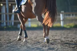 SFRK Enstjärnig Hopptävling 12 april 2026