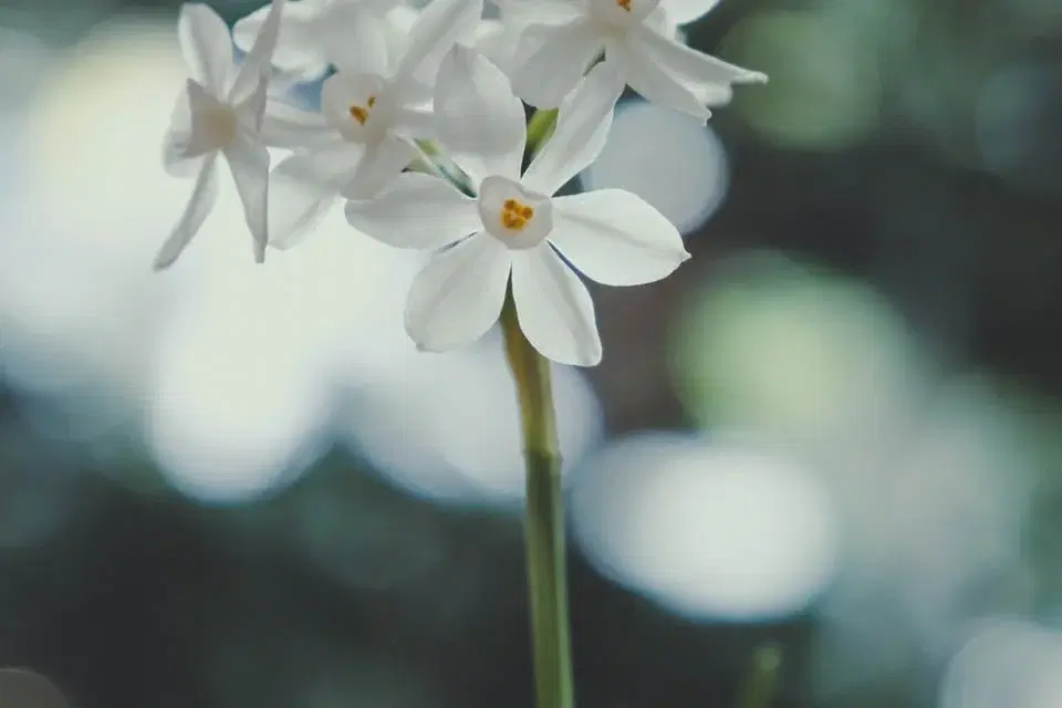 Långfredagsretreat i Enskede kyrka