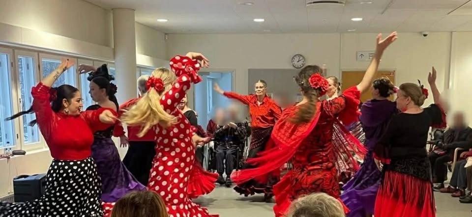 Syksyn flamencotunnit alkeista edistyneisiin!