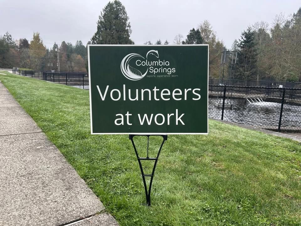 Stewardship Saturday