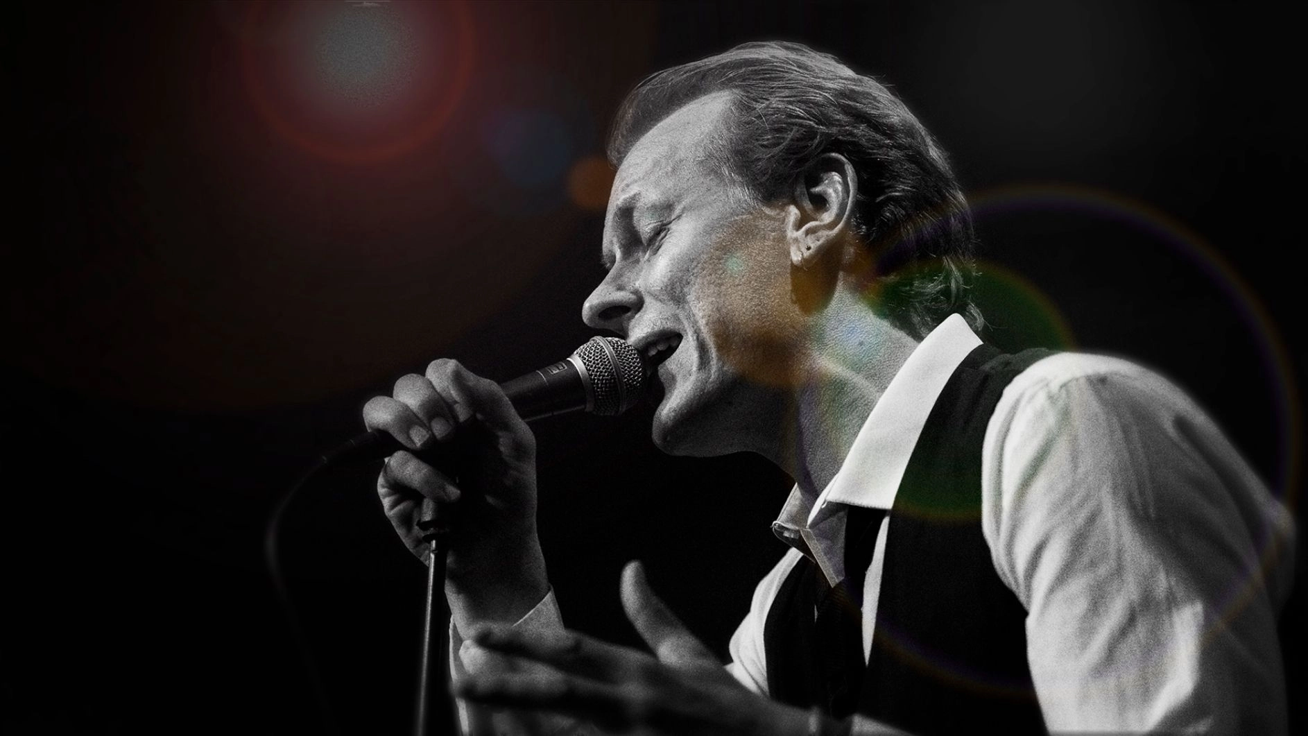 the BOWIE tribute (DK)