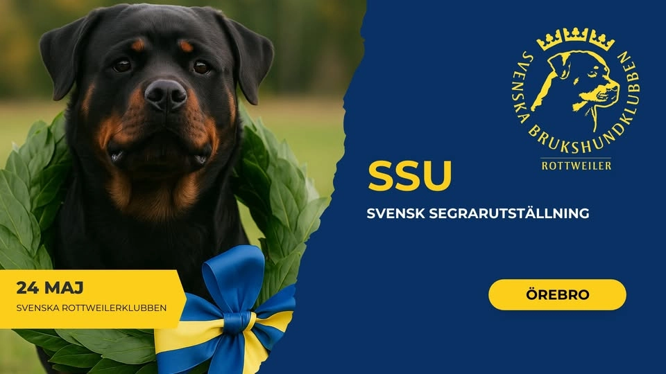 SSU – Svensk Segrar Utställning Örebro – Svenska Rottweilerklubben