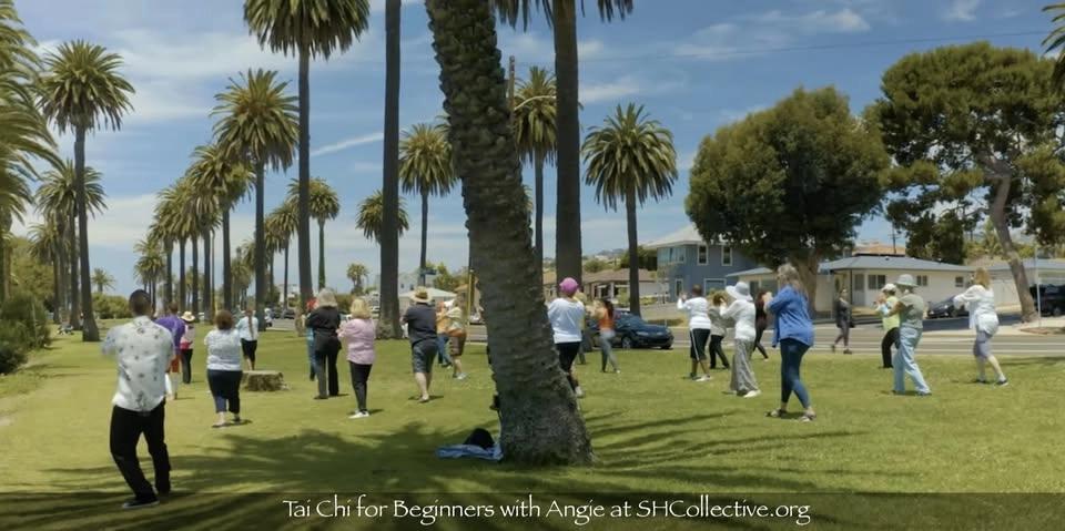 Ocean View Tai Chi for Beginners in San Pedro (by SHCollective)