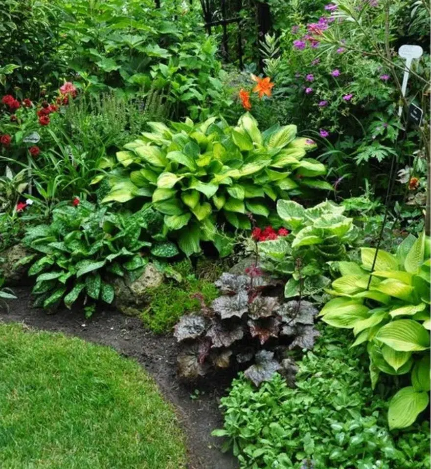 Lunch and Learn: Landscape Design for Shade Gardens