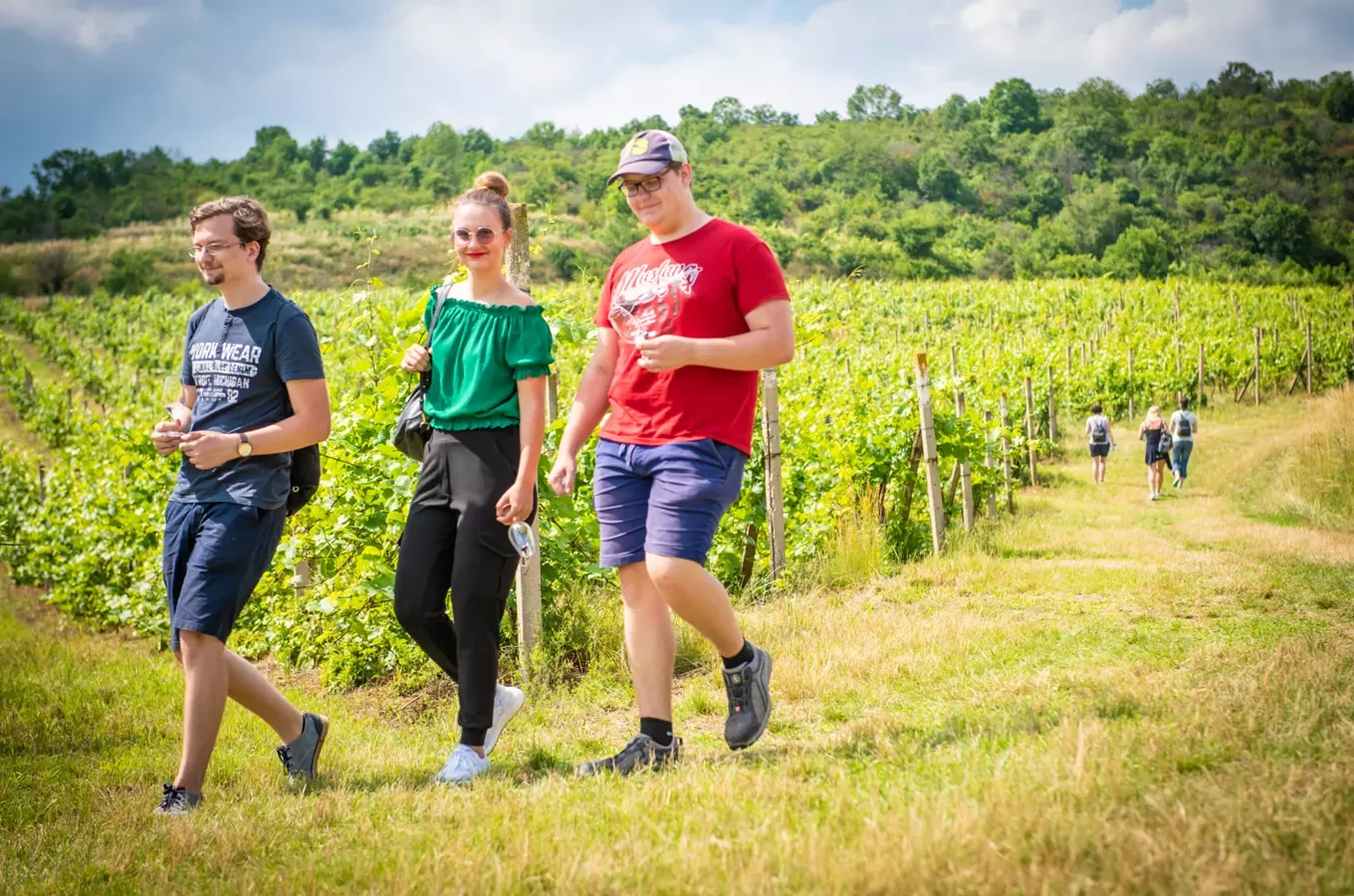 Putování po vinicích Velkých Žernosek 2026