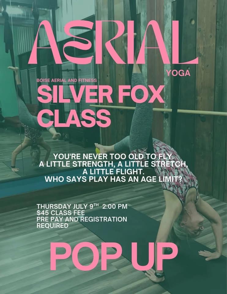 Silver Fox: Aerial Yoga Pop-up