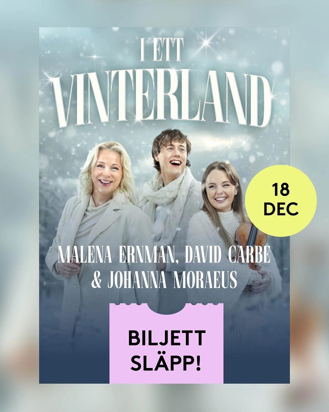I Ett Vinterland
