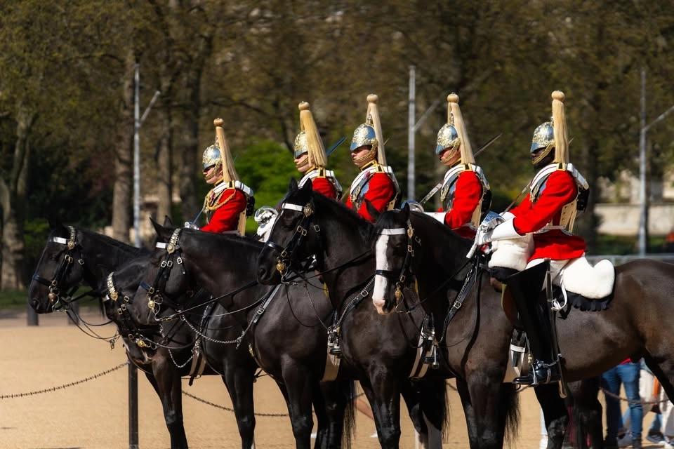 Guided Tour of the Household Cavalry Museum
