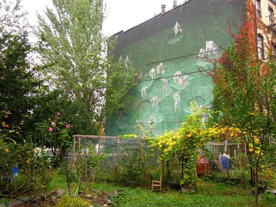 Garden to Table: Simple Ferments Cooking Demo