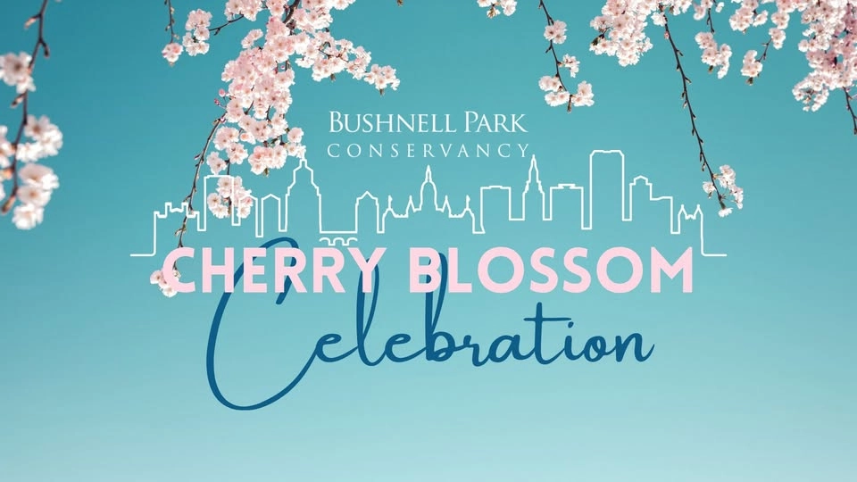 2nd Annual Cherry Blossom Celebration