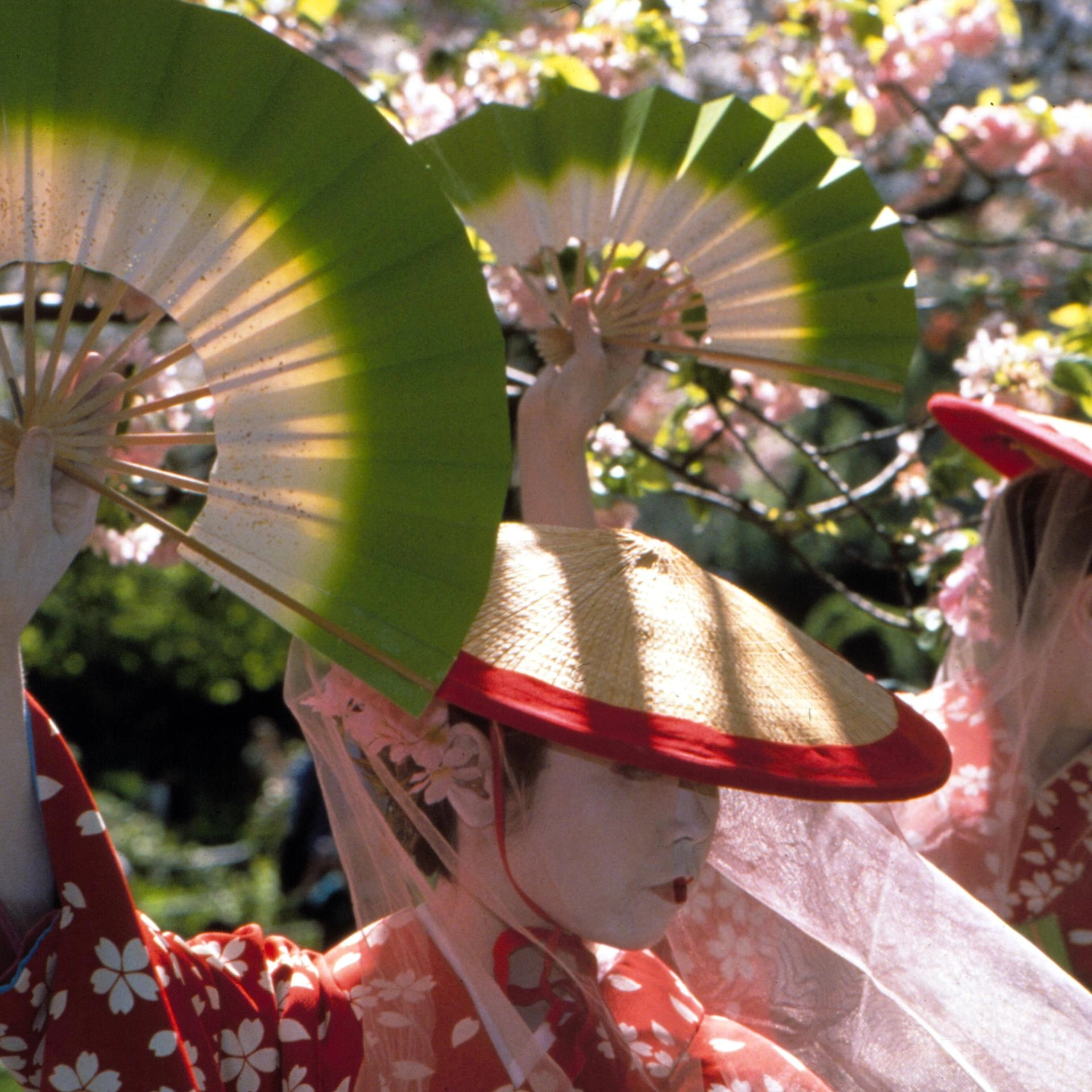 Japanese Traditional Dance Workshop