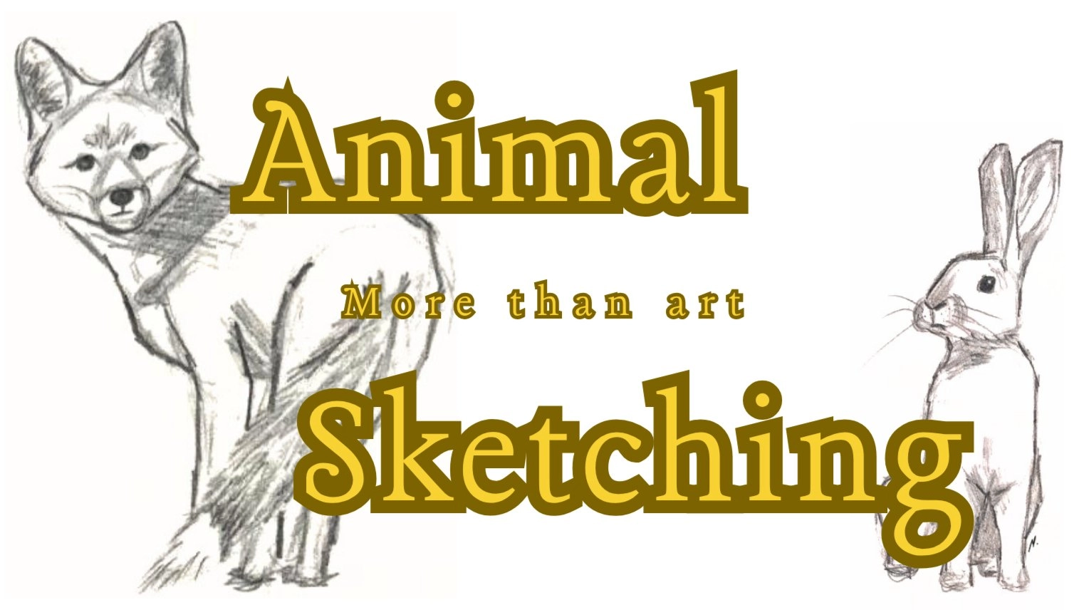 ANIMAL SKETCHING
