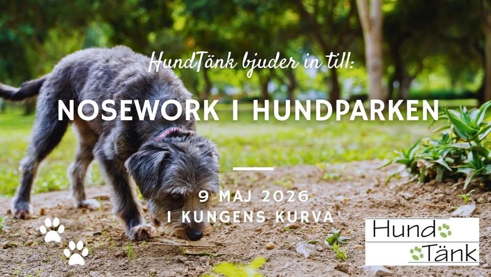 Nosework i Kungens hundpark!
