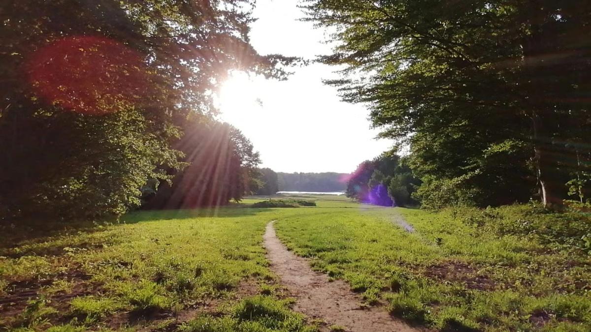 πΏ The Dragonβs Eye Portal: A Forest Walk for Spiritual & Sensitive Souls