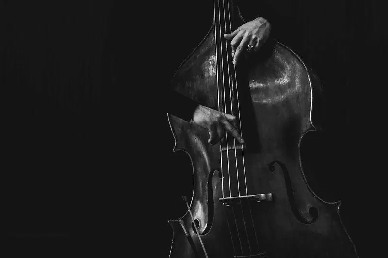 The Essence of French Chanson: A Tribute to Piaf, Aznavour, Brel & more