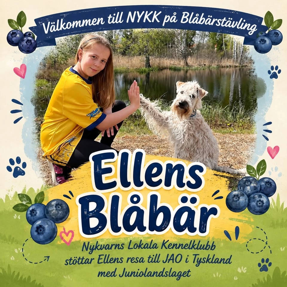 Ellens Blåbär - Blåbärstävling!