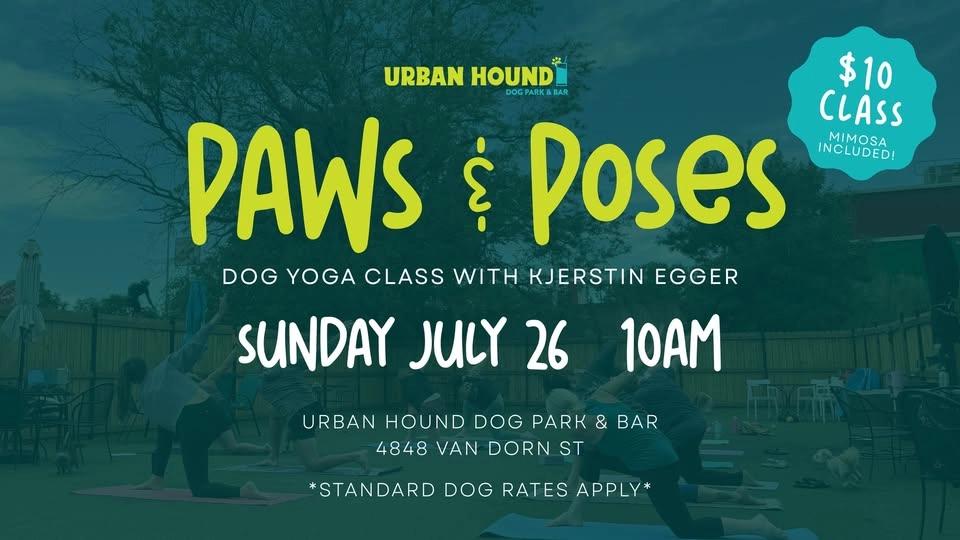 Paws & Poses: Dog Yoga at Urban Hound Dog Park & Bar