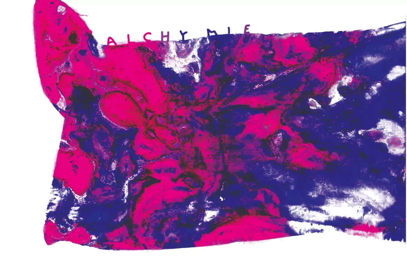 Alchymie – Výstava výtvarného oboru ZUŠ Galerie 26