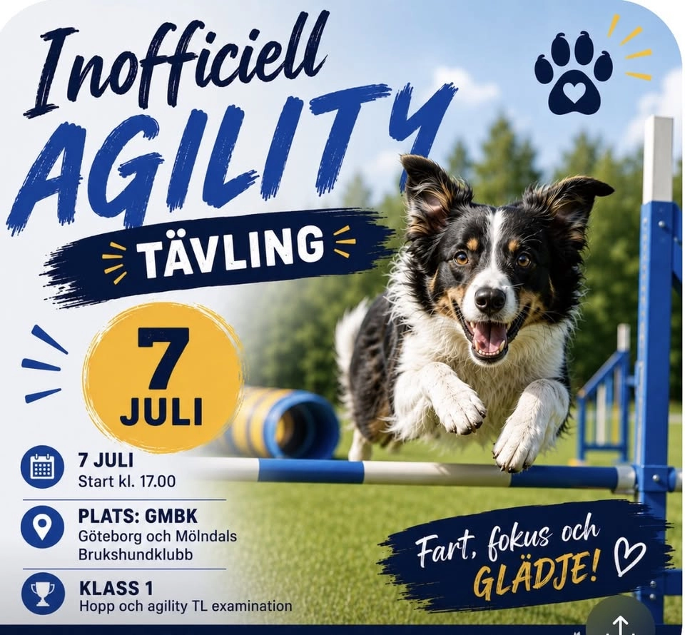 KlasKalas! Inoff agilitytävling TL examinering