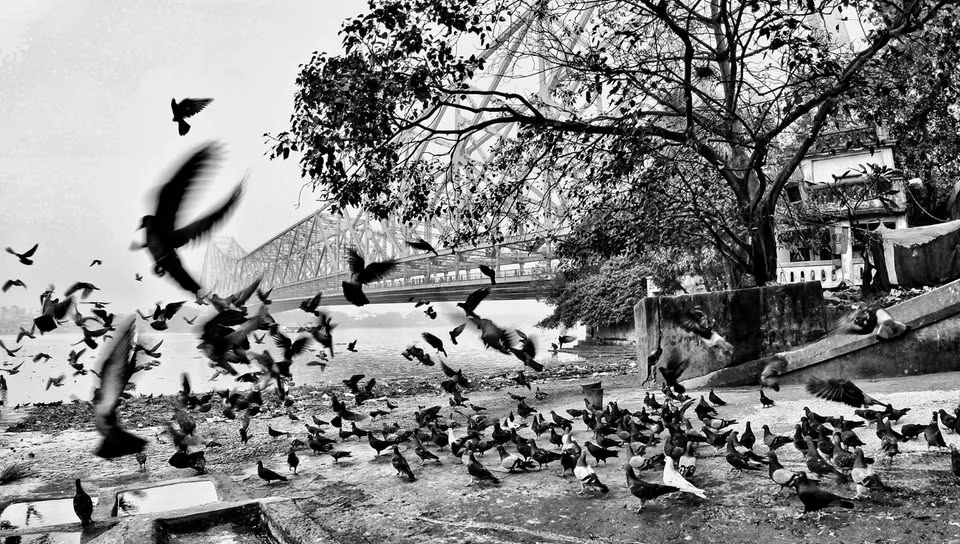 Petals, People & Perspectives - Photo Walk along the Ghats