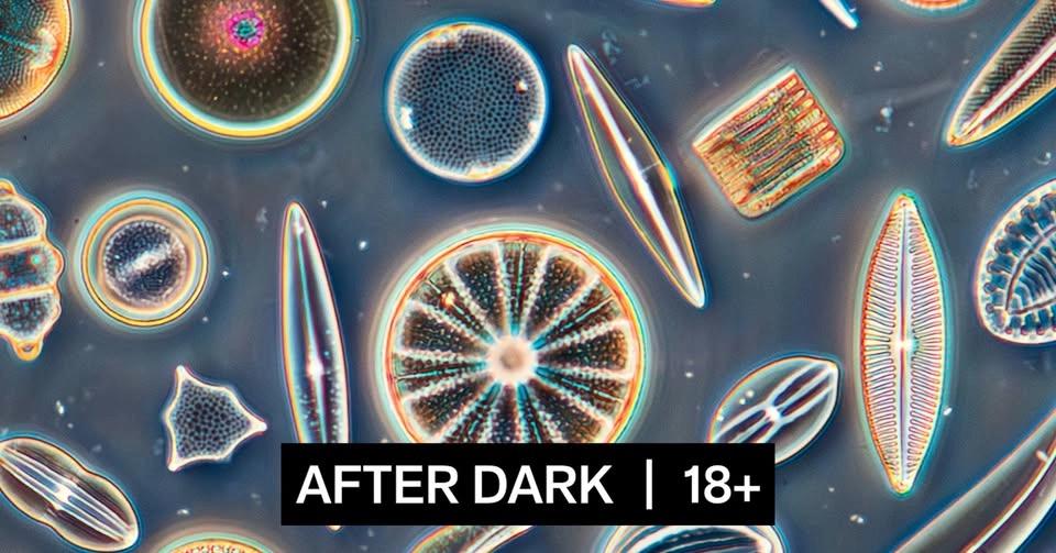 After Dark: Splashdown