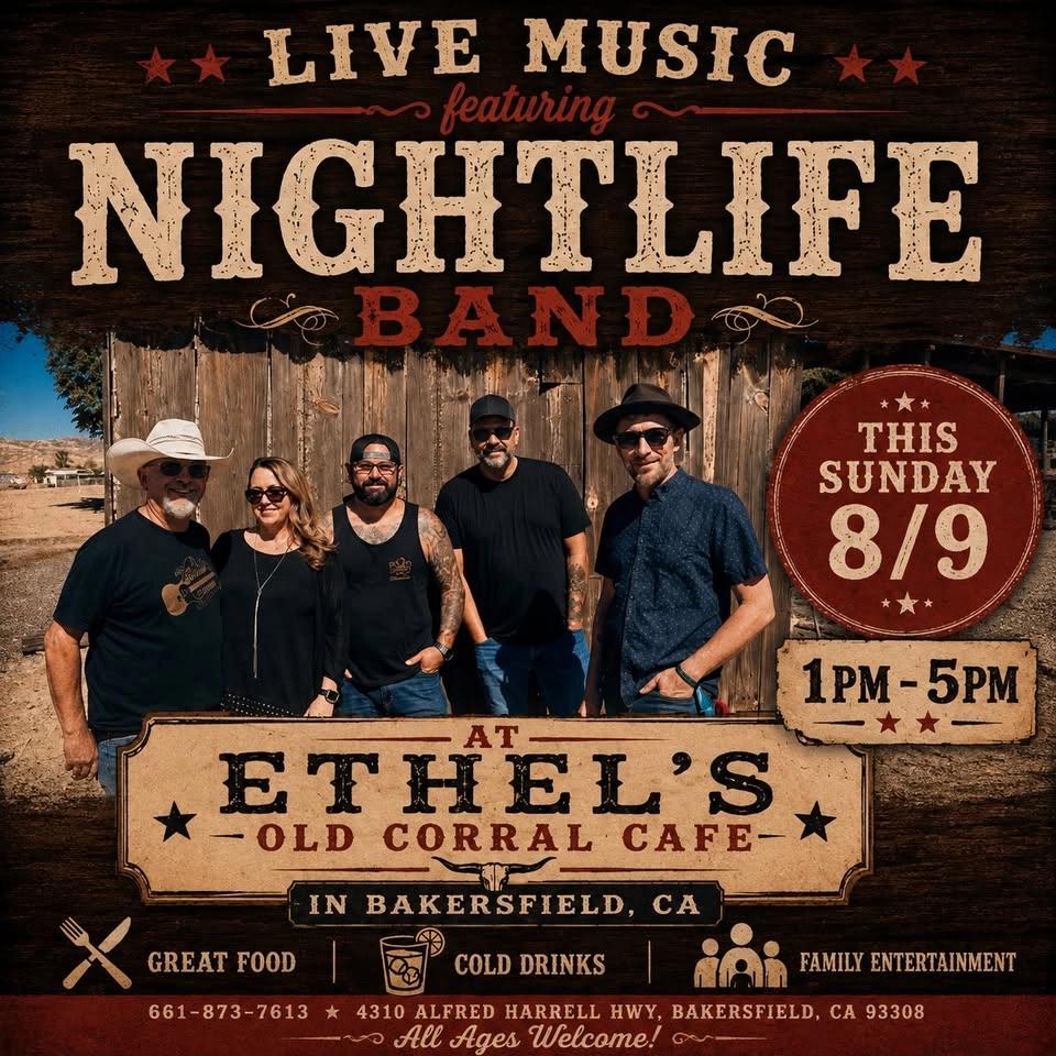 Live Music-Night Life Band