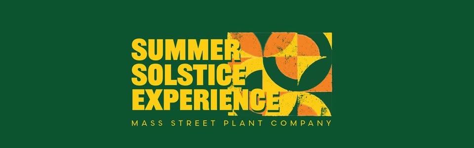 Summer Solstice Experience