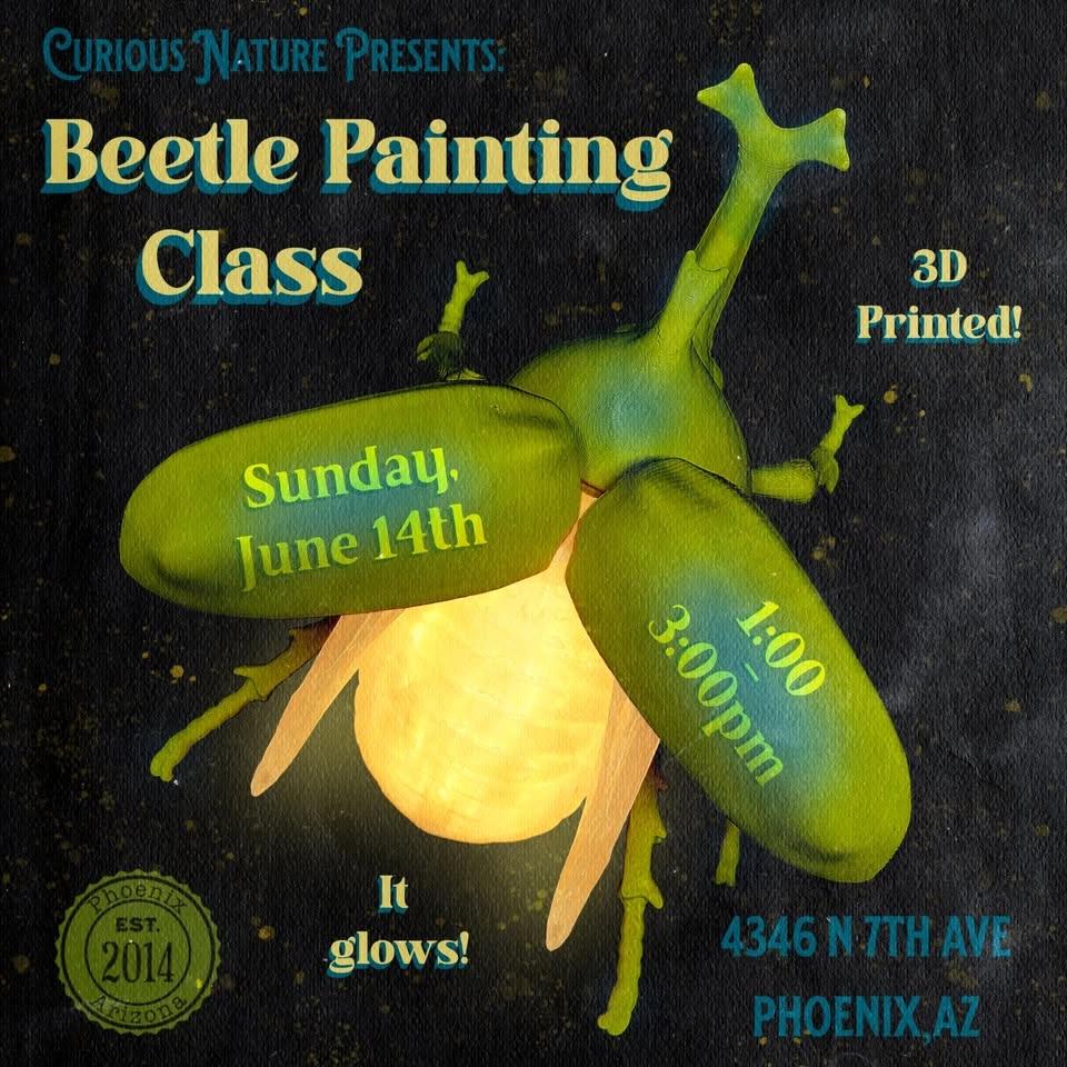 Beetle Painting Class