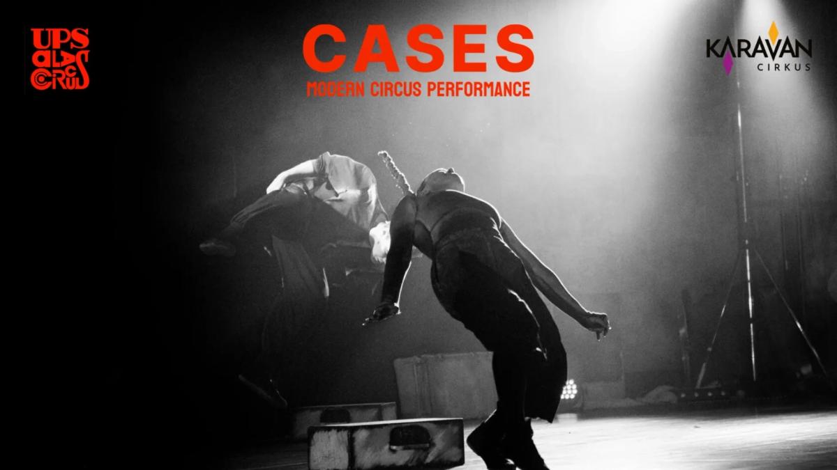 Cases - modern circus performance