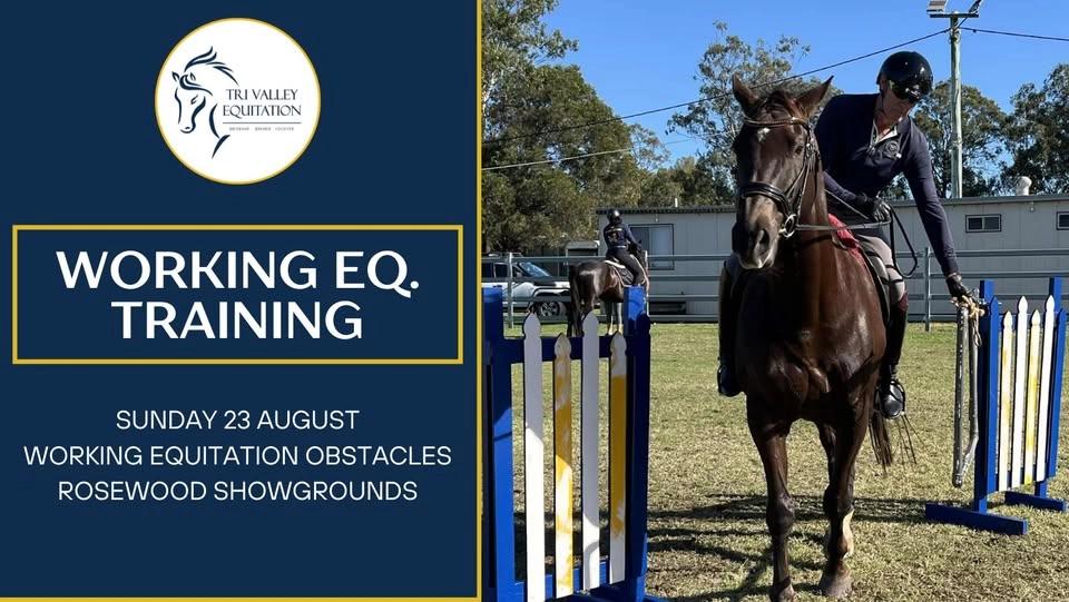 TVE WORKING EQUITATION TRAINING