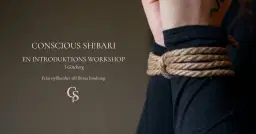 Sh!bari: En introduktions workshop, Göteborg