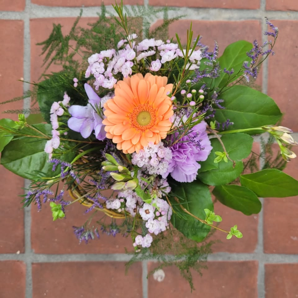 Creative in bloom på Hansa