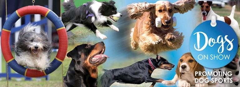 Dogs on Show - Open Day with two Championship Shows
