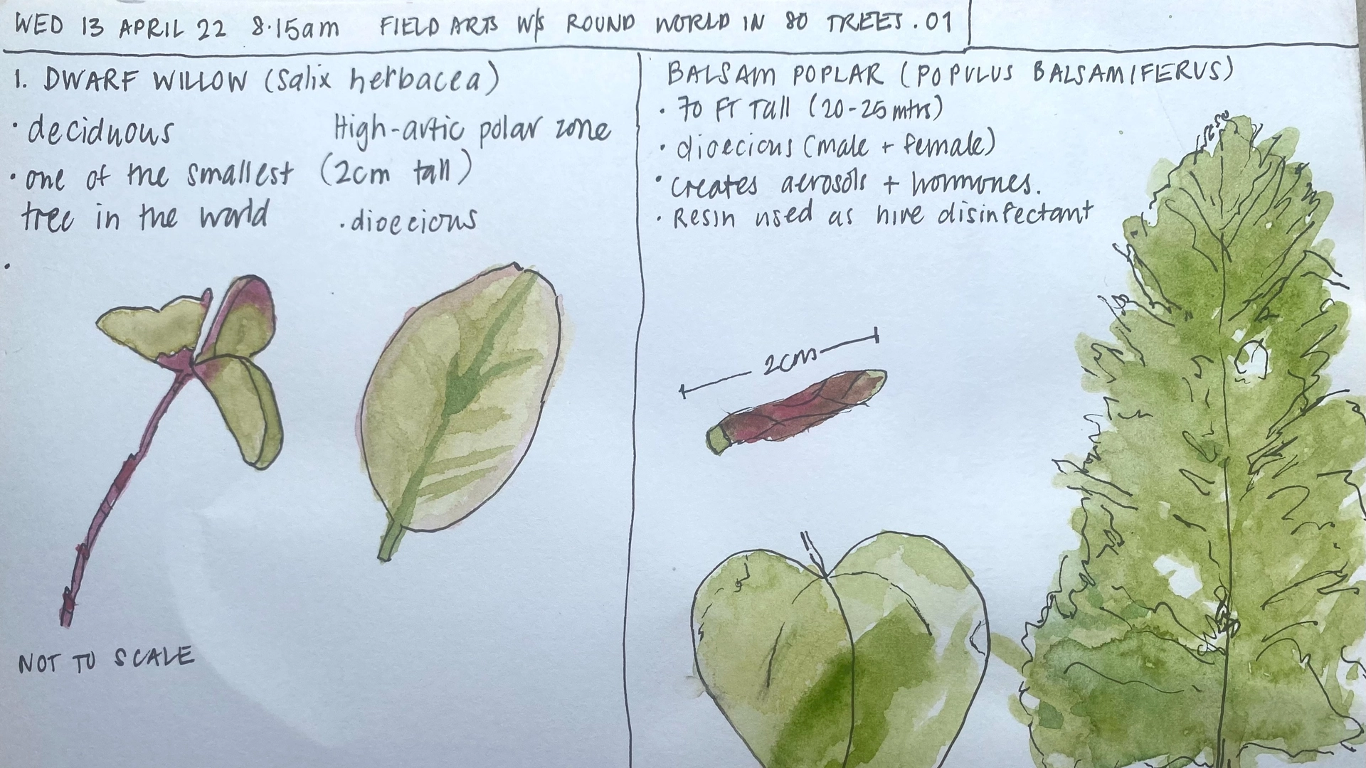 April Meetup for the Sydney Nature Journal Club