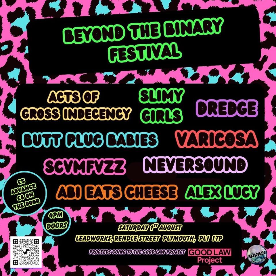 Beyond The Binary Festival 2026- Raising Money for the Good Law Project!