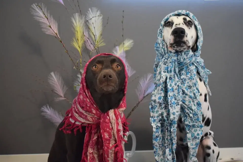 Påskmys på Angereds Brukshundklubb