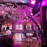 Spring Vibes at the Electric Garden