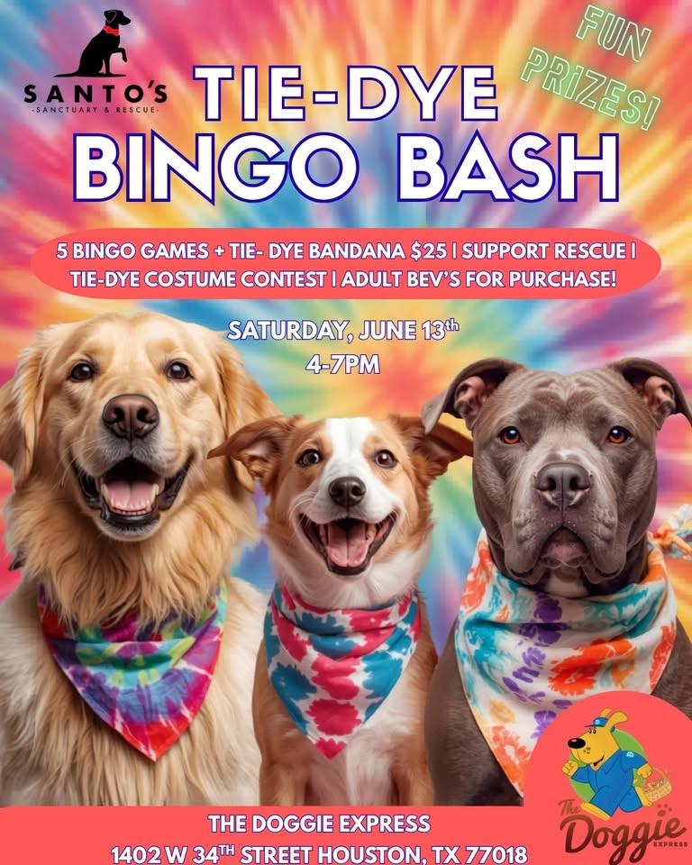 Tie-Dye Bingo Bash