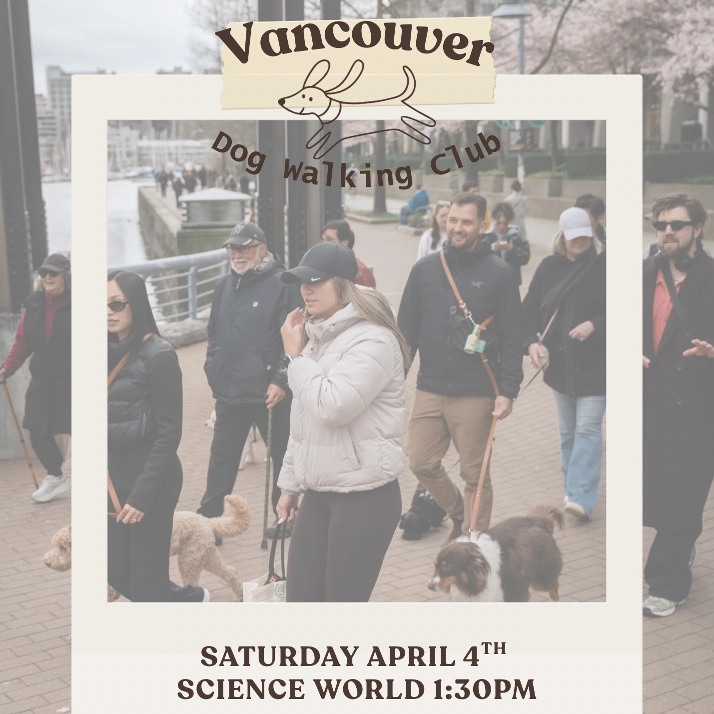 Dog Walk: Stroll & Social